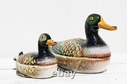 Mid-Century Set of Two Duck Tureens, Earthenware, Portuguese