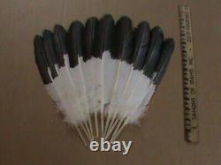 Native American Eagle Feather Tail Set Realistic Golden Powwow Regalia Authentic