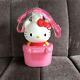 Sanrio Hello Kitty Water Bottle Two-stage Lunch Box Set Retro Container Pink