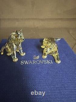 Swarovski SCS 2019 Amur Leopard Cubs Set Of Two # 5428542