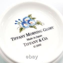 TIFFANY&Co. Mug Morning glory Two-piece set Pottery blue/white unisex