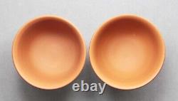 Tokoname Shudei Two Teacups set by Gisui, #gisui 169 D65H47mm, 75ml