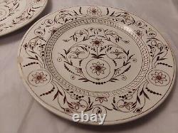 Assiettes de dîner des années 1800 de TG et FB Dresden avec motifs de fleurs brunes - Ensemble de deux pièces antiques.