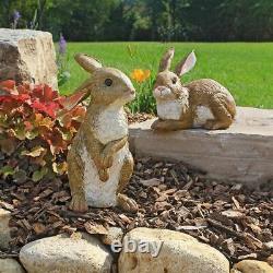 Collection de deux lapins de jardin timides Katlot et Hopper