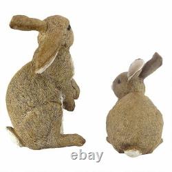 Collection de deux lapins de jardin timides Katlot et Hopper