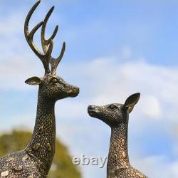 Ensemble de luxe de deux sculptures de jardin de chital tacheté mâle et femelle