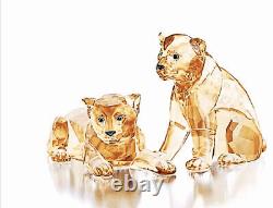 Nib Swarovski Scs 2019 Amur Leopard Cubs Ensemble De Deux Figurines En Cristal #5428542
