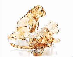 Nib Swarovski Scs 2019 Amur Leopard Cubs Ensemble De Deux Figurines En Cristal #5428542